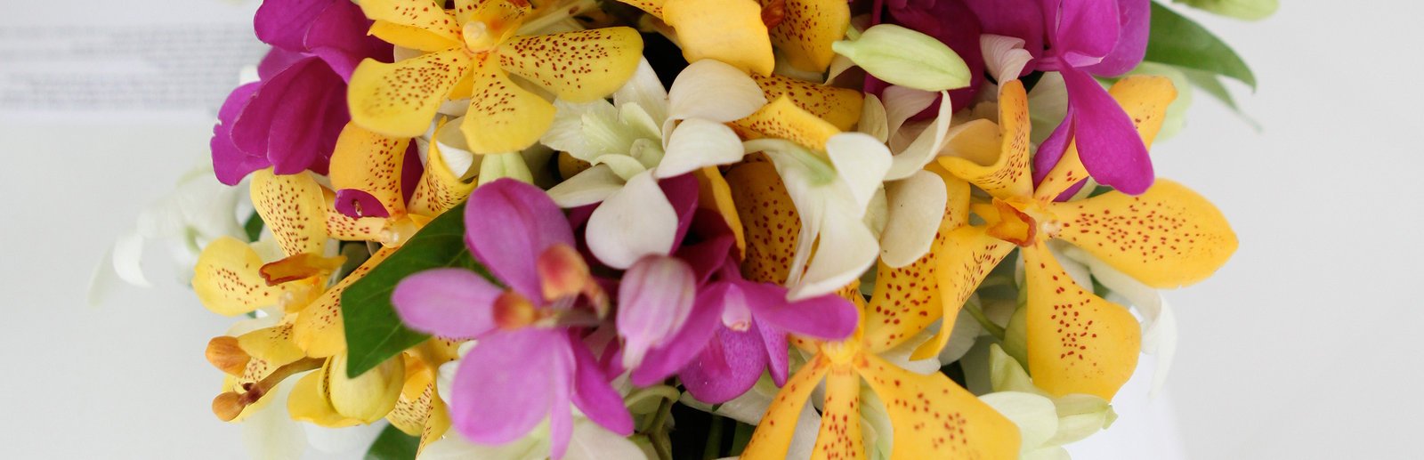 Flower City Florist Fort Lauderdale